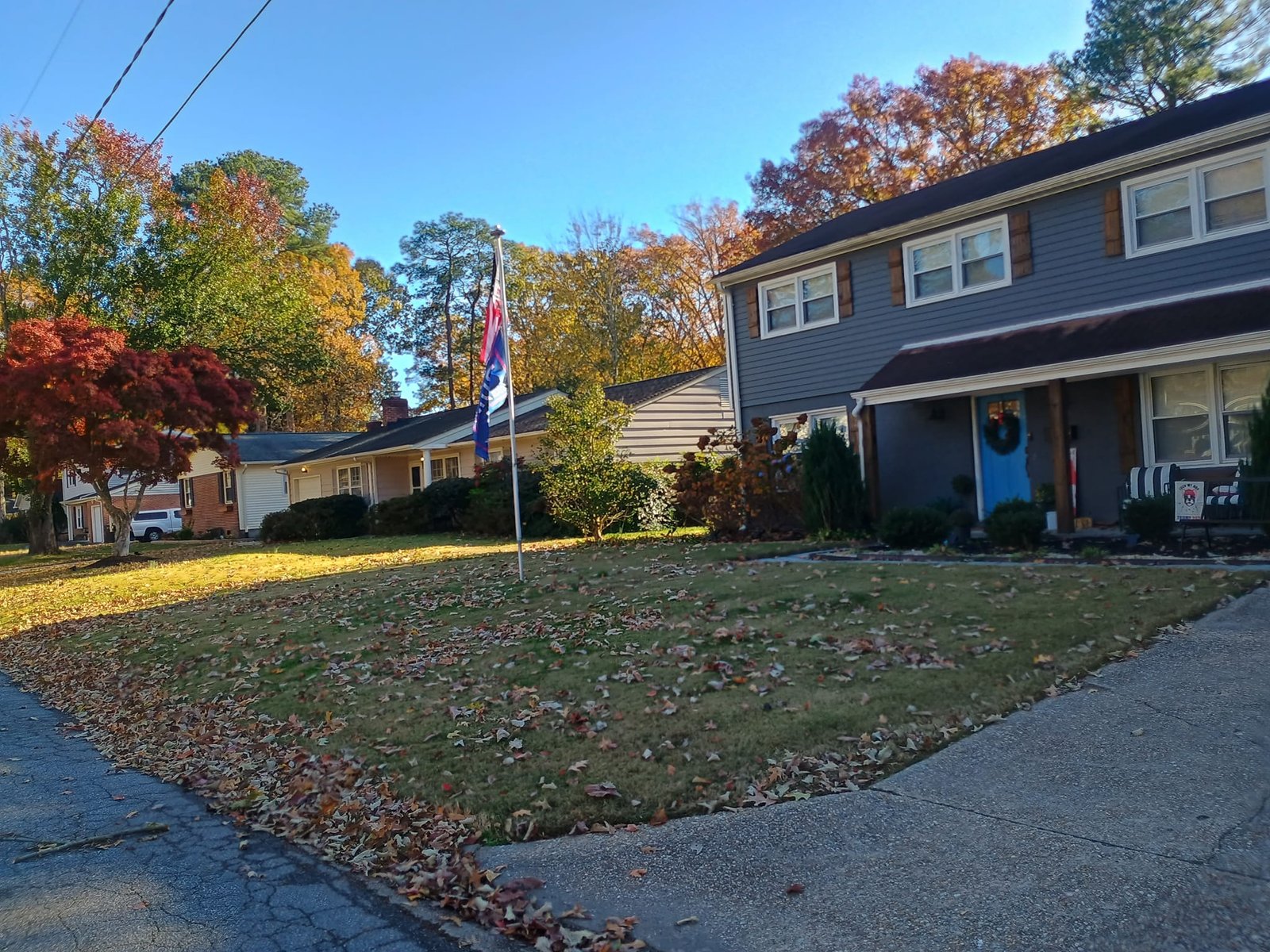 Expert Tips for a Healthy Lawn