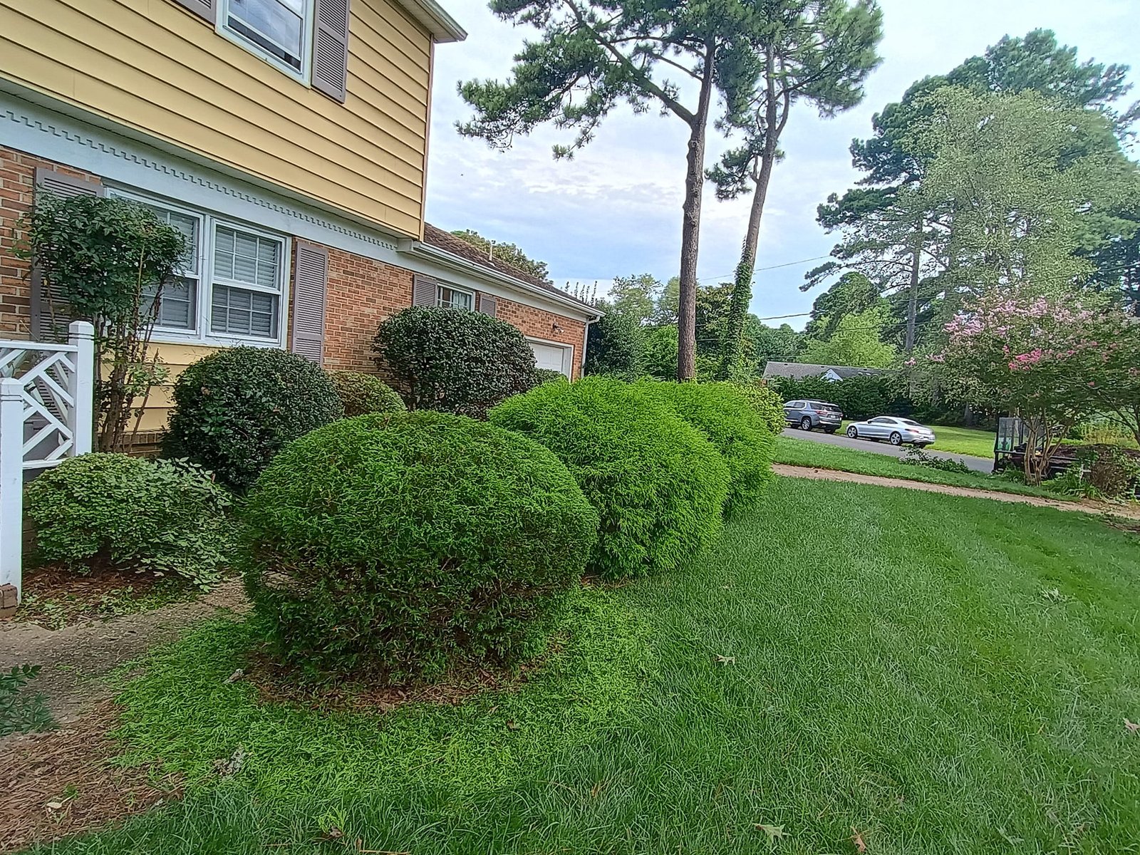 Lawn Care Tips for Every Season